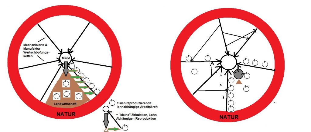 ReproschemaA